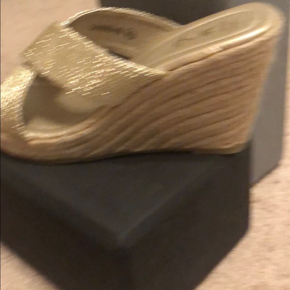 Refresh wedges - Picture 2 of 4